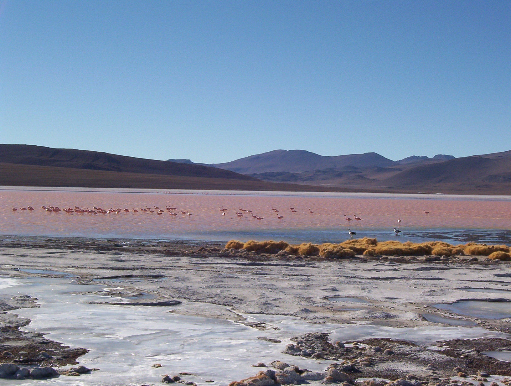 laguna colarada